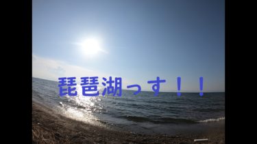 いざ散歩！！彦根城から琵琶湖を観光散歩！